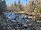 Kinnear&rsquo;s Mills (Chaud-App) : Terre &agrave; bois 110 ac