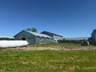 Notre-Dame-de-Ham (Ctre-Qc) : Ferme 86 acres