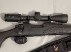 Carabine Remington 700 ADL 300 WSM