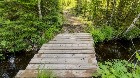 Lemieux (Ctre-Qu&eacute;bec) : Terre 178 acres, chasse