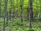 St-Sylvestre (Chaudi&egrave;re-Appalaches) : &Eacute;rabli&egrave;re