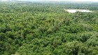 Nantes (Estrie) : Terre &agrave; bois 42 acres, for&ecirc;t mix