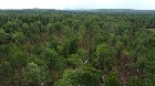 Nantes (Estrie) : Terre &agrave; bois 42 acres, for&ecirc;t mix