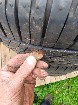 245/40/RF19 BRIDGESTONE Driveguard Run Flat