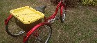 V&Eacute;LO SHWIM TROIS ROUES 