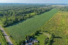 Brossard (Mont&eacute;r&eacute;gie) : Terre agricole et &agrave; bois
