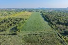 Brossard (Mont&eacute;r&eacute;gie) : Terre agricole et &agrave; bois