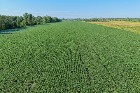 Brossard (Mont&eacute;r&eacute;gie) : Terre agricole et &agrave; bois