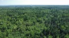 Canton de Westbury (Estrie) : Terre &agrave; bois 255 acr