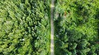 Canton de Westbury (Estrie) : Terre &agrave; bois 255 acr