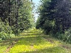 Canton de Westbury (Estrie) : Terre &agrave; bois 255 acr