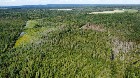 Canton de Westbury (Estrie) : Terre &agrave; bois 255 acr