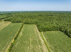 Trois-Rivi&egrave;res : Ferme Maison de campagne 73 acr