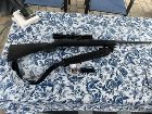 carabine 22