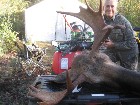 recherche des compagnons de chasse a l'orignal 