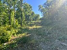 Chartierville (Estrie)Terre &agrave; bois de 69sc Z Blanc
