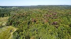 Inverness (Centre-du-Qu&eacute;bec) : Terre de 34 acres