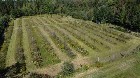 Inverness (Centre-du-Qu&eacute;bec) : Terre de 34 acres