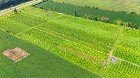 Coteau-du-Lac (Mont&eacute;r&eacute;gie) : Vignoble Maison Serre