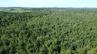 Weedon (Estrie) : Terrain bois&eacute; d&eacute;veloppement