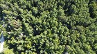 Weedon (Estrie) : Terrain bois&eacute; d&eacute;veloppement