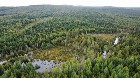 Sainte-Prax&egrave;de (Chaud.-App) : Terre &agrave; bois 112 acr
