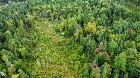 Sainte-Prax&egrave;de (Chaud.-App) : Terre &agrave; bois 112 acr