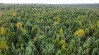 Sainte-Prax&egrave;de (Chaud.-App) : Terre &agrave; bois 112 acr