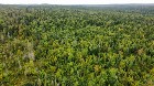 Sainte-Prax&egrave;de (Chaud.-App) : Terre &agrave; bois 112 acr