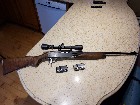 Carabine Remington 740 semi-auto cal, 308 Win.