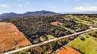St-Tite-des-Caps (Cap.-Natl) : Terre &agrave; bois 109 ac