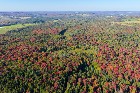 Ste-Anne-de-la-Rochelle (Estrie) : Terre &agrave; bois