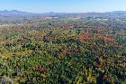 Ste-Anne-de-la-Rochelle (Estrie) : Terre &agrave; bois