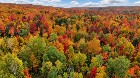Newport (Estrie) : Fermette103 acres, terre &agrave; bois