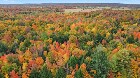 Roxton (Mont&eacute;r&eacute;gie) : Terre agricole 39 acres