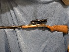 Poudre noire cal. .50 New England 