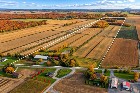 St-Dominique (Mont&eacute;r&eacute;gie) : Centre &eacute;questre 102acr