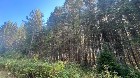 St-Cyprien (Chaud.-App.) : Terre &agrave; bois 102 acres 