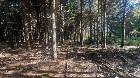 St-Cyprien (Chaud.-App.) : Terre &agrave; bois 102 acres 