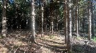 St-Cyprien (Chaud.-App.) : Terre &agrave; bois 102 acres 