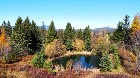 Notre-Dame-des-Bois (Estrie) : Fermette de 103 acr